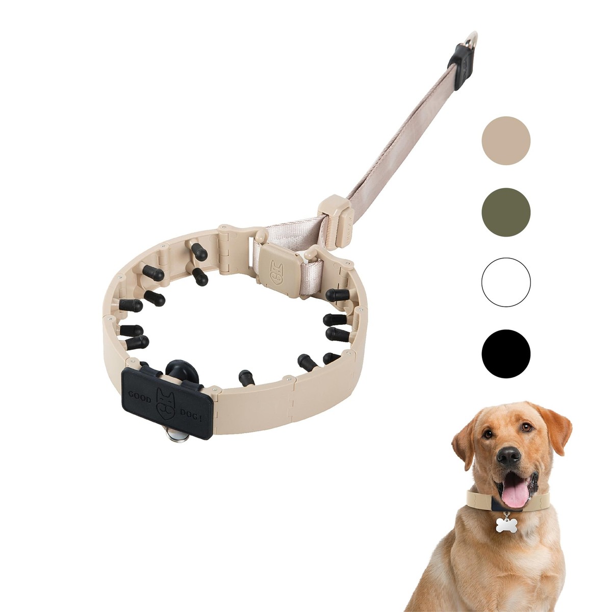 Dog Prong Collar for No-Pull Training Quick-Release Buckle
