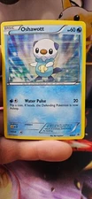 Oshawott BW03 Black & White Promos Holo