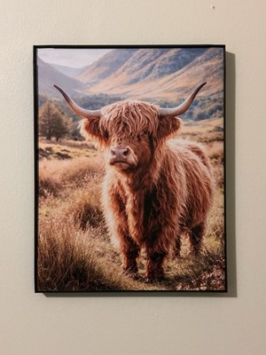Framed 9x12 Highland Cow Picture Wall Art
