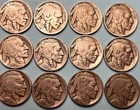 12 Buffalo Nickels From The 1920s