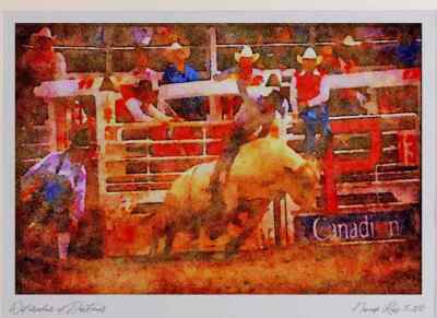 Kanada 230012 Calgary Stampede Rodeo Alberta A4 Aquarelldruck