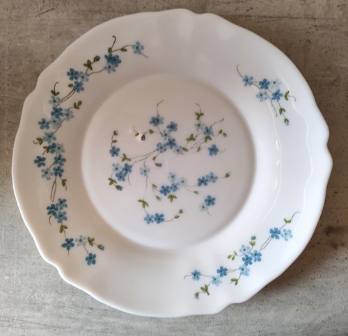 Lot De 6 Assiettes à Dessert Vintage Arcopal Années 70-80 – Décor Myosotis Véronica Bleu