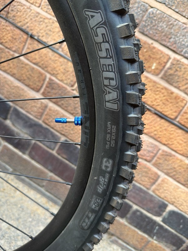 Maxxis Assegai 29 X 2.5 Grey Logo