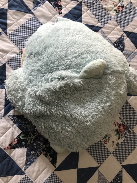 fish pillow pet