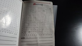 Swords and Serpents | Nintendo | NES | Manual | Original | NES-WP-USA