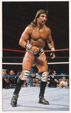 Marc Mero WWF Panini Sticker Trading Card Wrestling WWE 1997 #149 #150 WWE