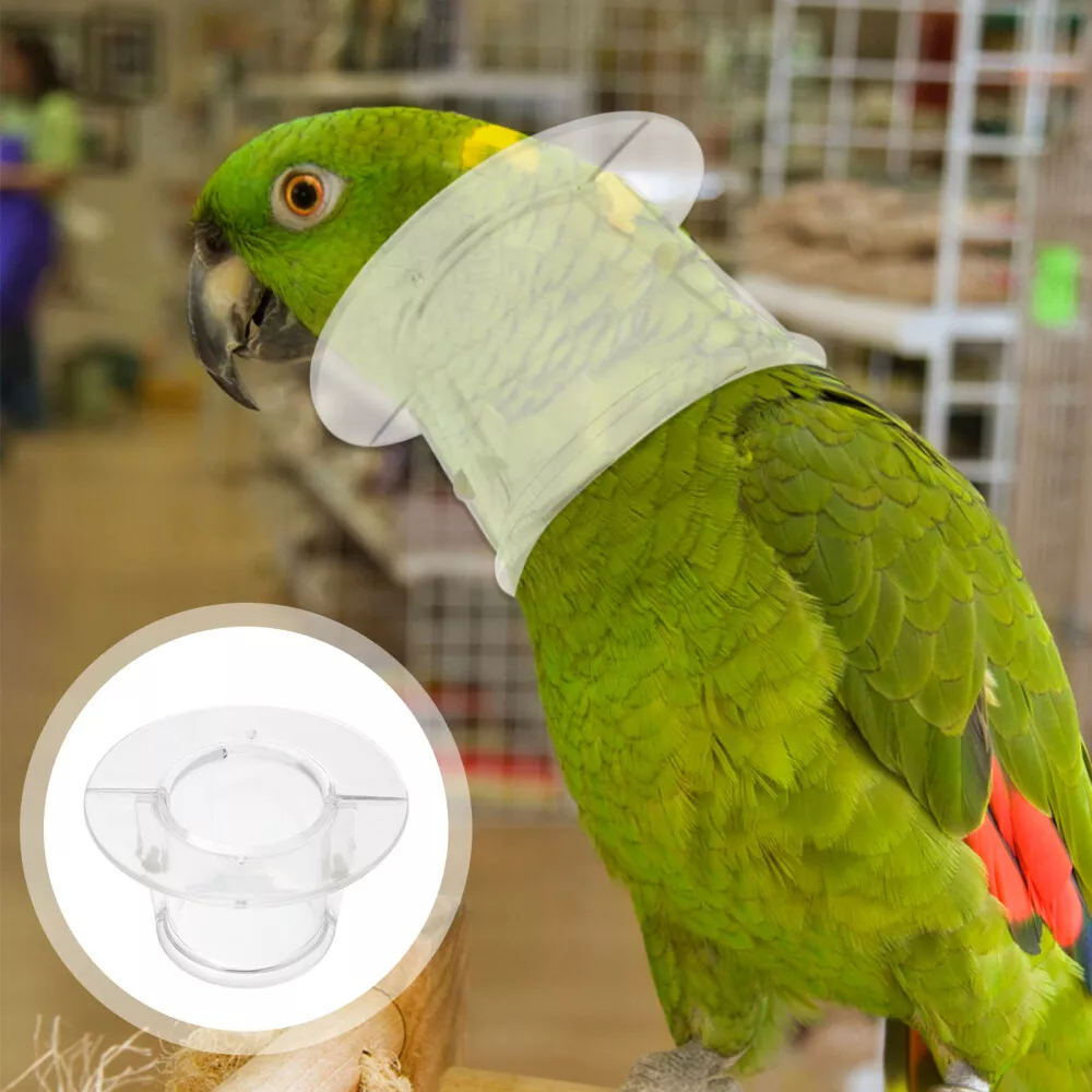 bird cone collar Parrot Neckband Cockatiel Harness Parrot Anti-bite Collar  | eBay