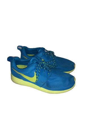 nike roshe run blue green