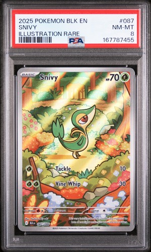 Snivy graded PSA 8 for sale on eBay