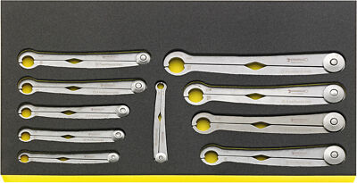 Stahlwille TOOL SET IN TOOL-CONTROL TRAY-SYSTEM 96830130 Set with  10 Psc. TCS W
