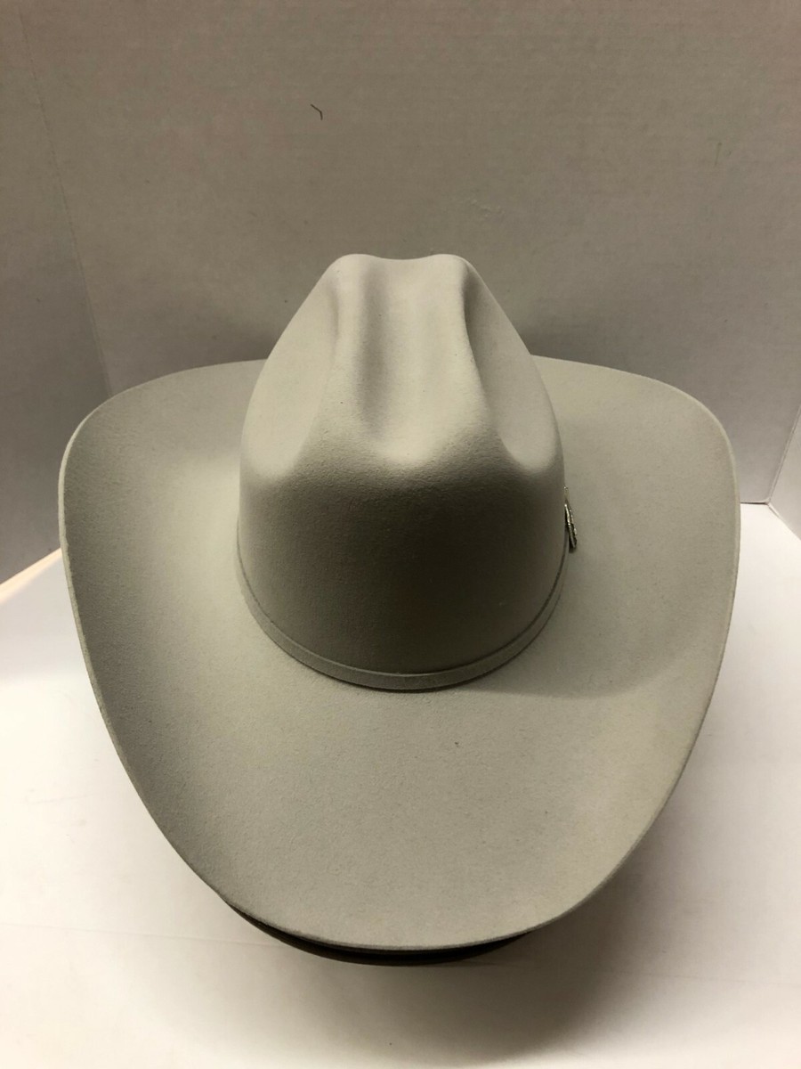 Stetson® 6X Skyline Silver Grey Felt Hat With Free Hat Brush | eBay