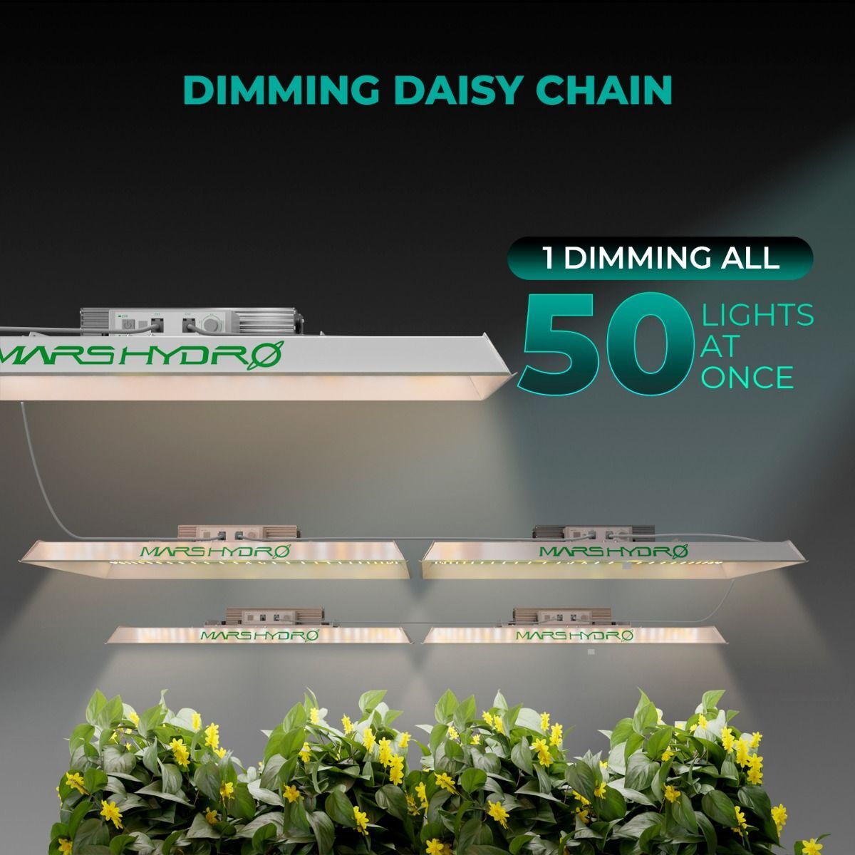 Mars Hydro TSW 2000　２台セット　多肉植物ライト TSW 2000 300W 植物育成LEDライト - Mars Hydro JP