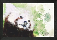 Watercolour Red Panda Framed Wall Art Poster Canvas Print Picture