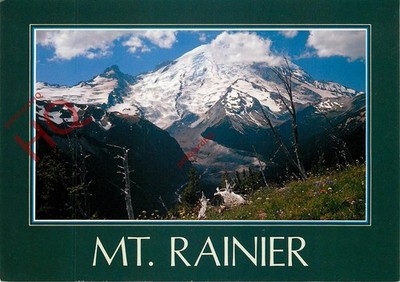 Ansichtskarte - Mt. Rainier Nationalpark, Emmons und Winthrop Gletscher