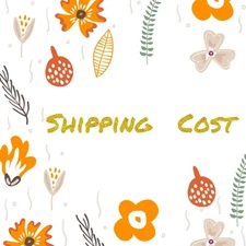 Additional Shipping Fee / Reshipment Service Only (For marf-2012)