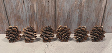 Set of 6 Pinecone Napkin Ring Holders Metal Rustic Fall Cottagecore Cabincore