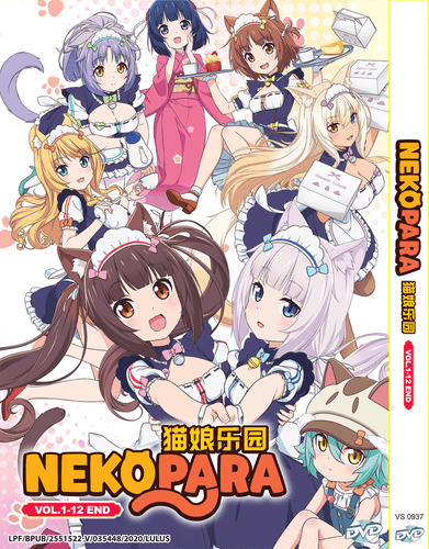 DVD ANIME NEKOPARA COMPLETE TV SERIES VOL.1-12 END ENGLISH DUBBED REGION ALL - Bild 1 von 5