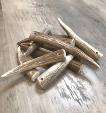 ONE Pre-Drilled Polished Elk Deer Antler Tip Jewelry Crafts *COMBINED SHIPPING*