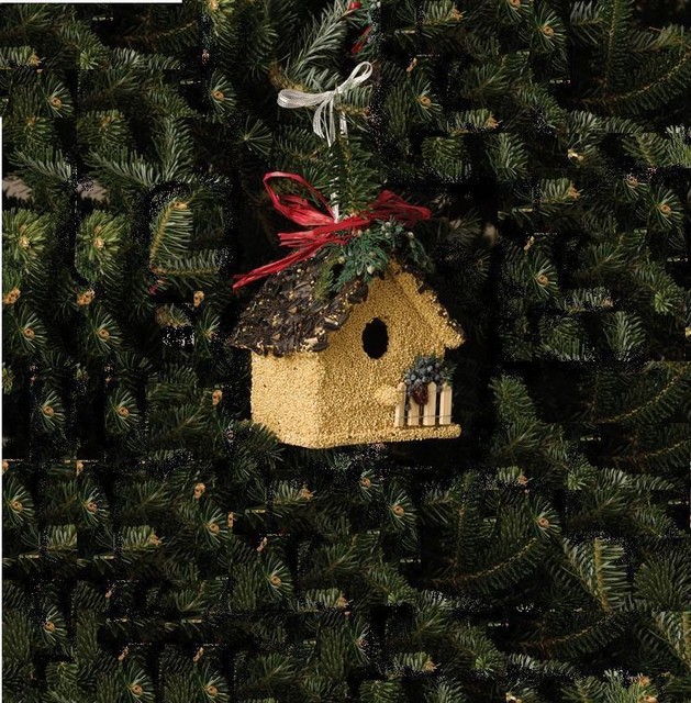 Edible Bird Feeder Tall Light Birdhouse For Sale Online Ebay