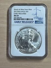2017 W American Silver Eagle $1 NGC MS69 Early Releases