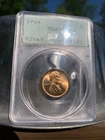 1926 "P" Lincoln WHEAT Cent 1c PCGS MS65 RD #131 **RED** 🔥RATTLER🔥 OGH ECC&C