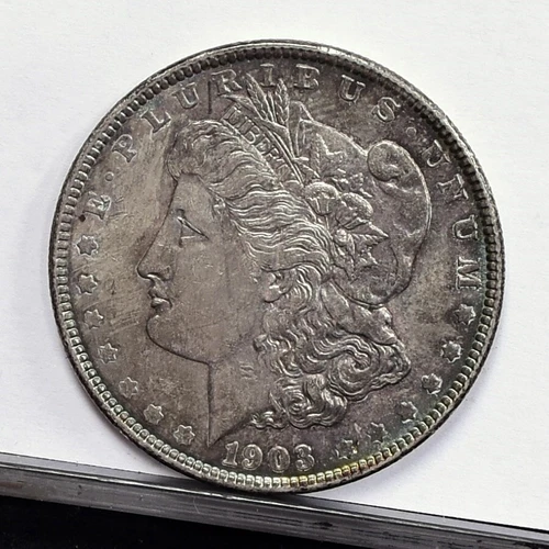 1903 Morgan Dollar - Ch Unc Details, Toned w/ Scratch on Cheek (#58075-L)