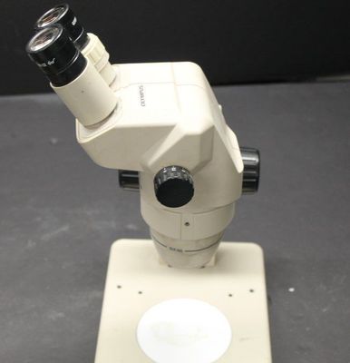 OLYMPUS SZ3060 MICROSCOPE | eBay