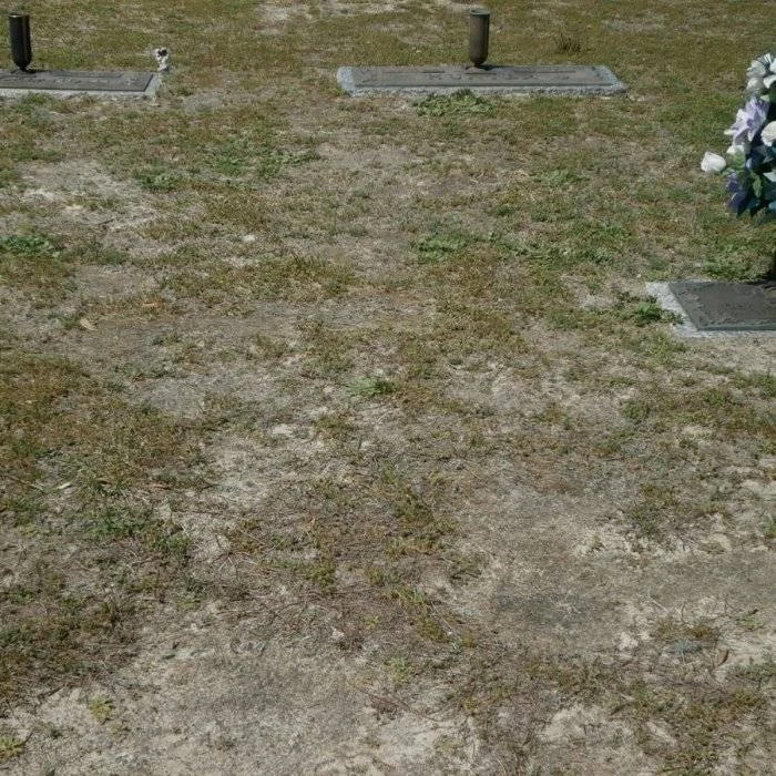 Grandview Memorial Gardens Clinton NC 4 lotes de cemitério adjacentes cuidados perpétuos - Imagem 4 de 4