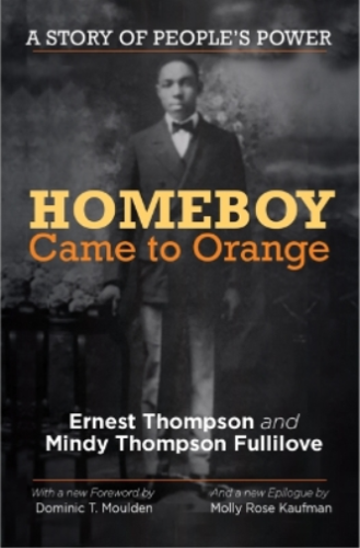 Ernest Thompson Mindy Thompson Fullilove Homeboy przyszedł na pomarańczowy (oprawa miękka) - Zdjęcie 1 z 1
