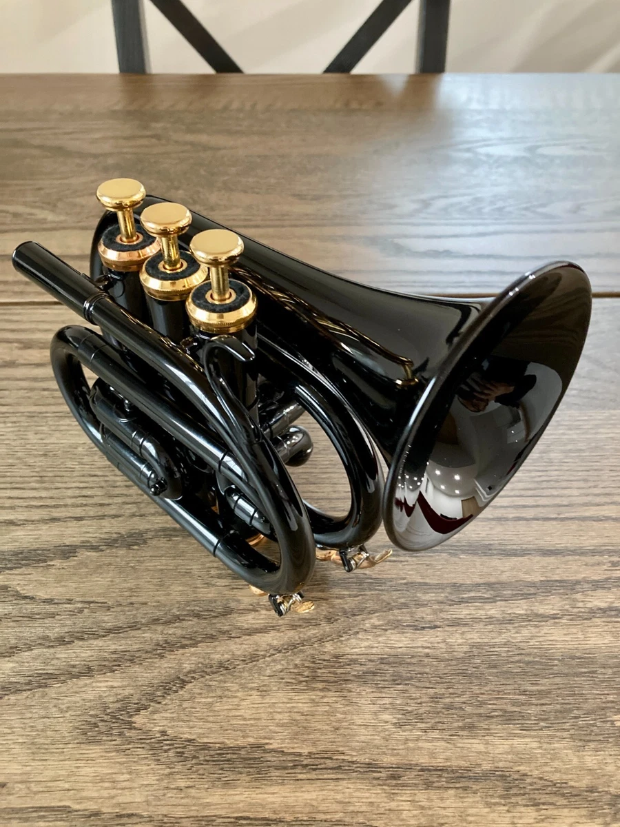 Good Condition Pocket Trumpet w Case Used From Japan Free Shipping