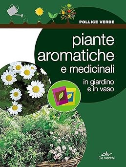 Kräuter- und Heilpflanzen im Garten und im Topf [Paperback] Aa.Vv
