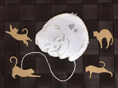 Scottish Fold Cat Tieguanyin Tea Bag - Ocean Teabag