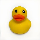 Two Duckies Sensory Squishy Toys Yellow Duck Slow Rise — photo 5