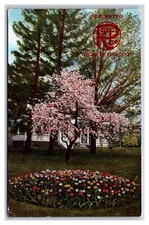 Rutledge Seed & Floral Company Advertising Portland Oregon OR DB Postcard R19