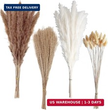 100 PCS Small Boho Pampas Grass, 17" Naturally Dried Pompas, Pampas Grass Decor