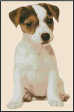 Jack Russell Terrier Puppy Counted Cross Stitch CHART #16-130