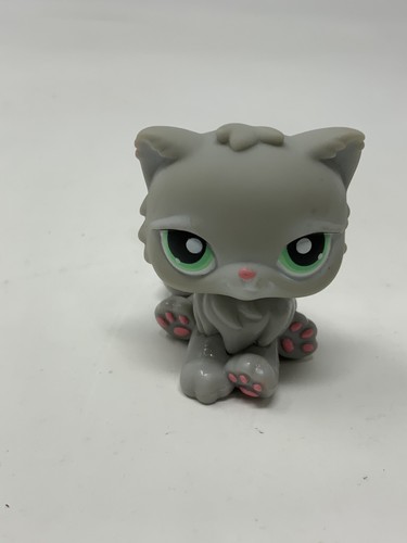 Grey Gray Persian Cat Kitty Green Eyes 