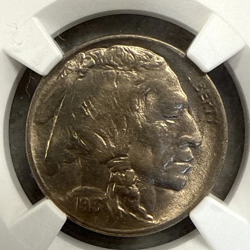 1913 Type 1 Buffalo Nickel NGC MS65