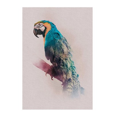 Wandbild ANIMALS PARADISE PARROT - 50x70 cm Wandbild Grafik Poster