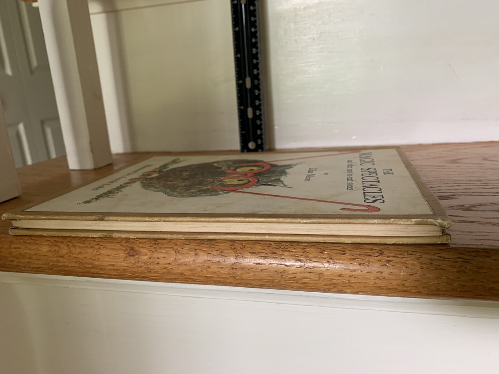 The Magic Spectacles by Lilian Moore 1965 Vintage Children's Book HC ...