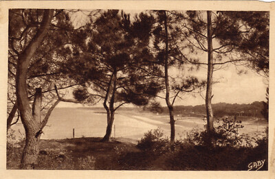 Saint Brévin l'Océan - Overview of the beach under the pines