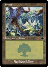 Forest (411) (Retro Frame) -Foil Near Mint MTG Dominaria Remastered