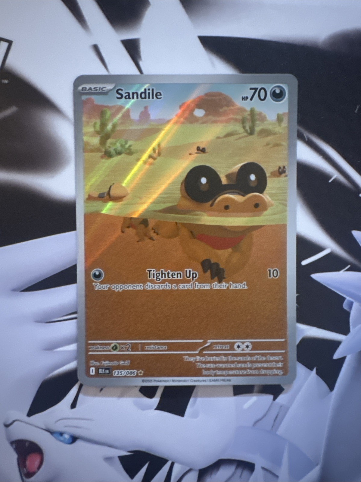 Sandile AR 135/086 Black Bolt Scarlet & Violet Pokemon Card