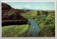 The Wailua River Island of Kauai Hawaii Vintage Postcard Boat Trip Fern Grotto