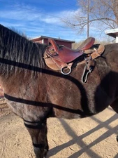 16 Used brown Inch National Bridle Tennessean GaitedTrail Saddle