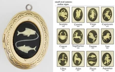 Medium oval locket, zodiac & astrology sign cameos, with slide chain options