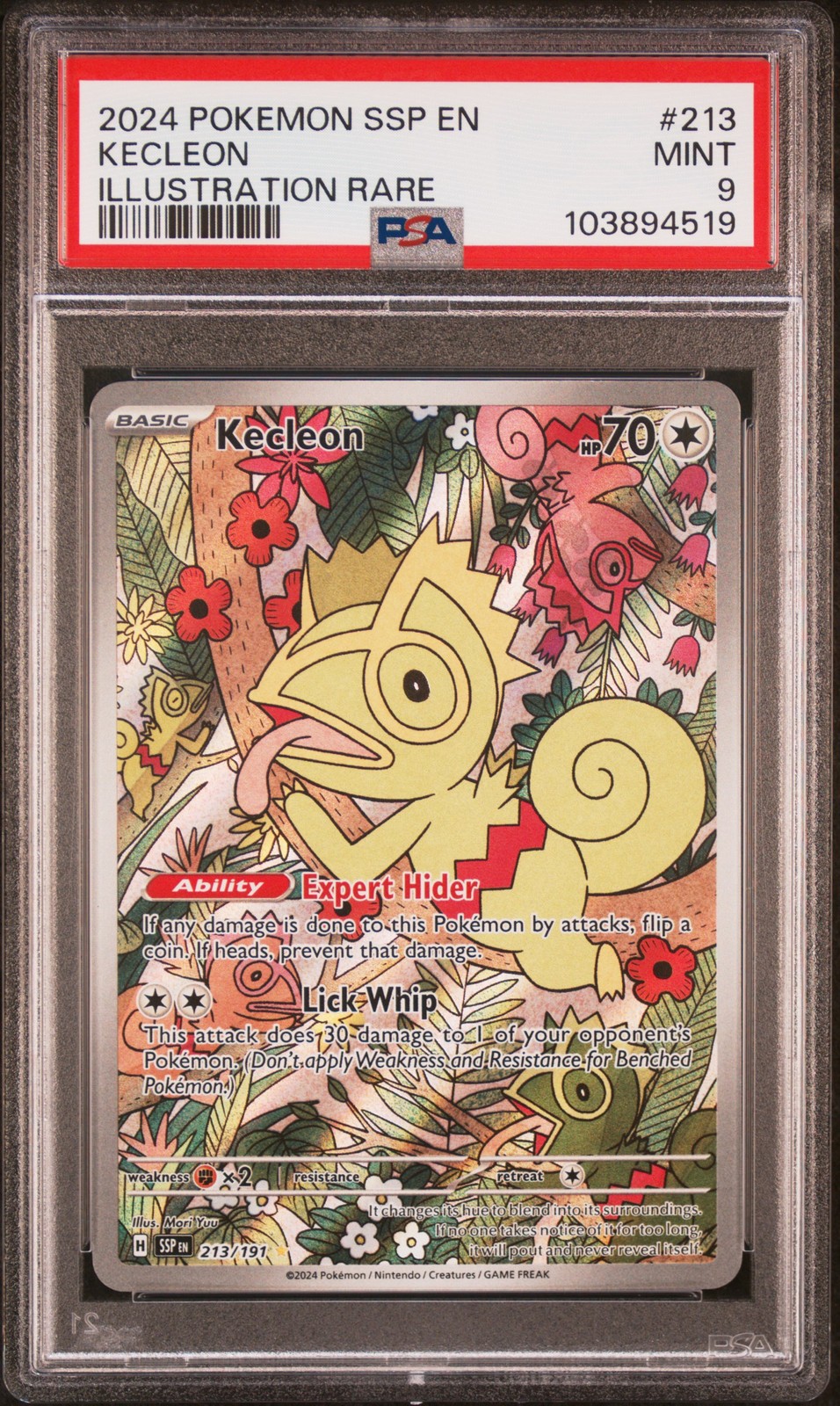Kecleon #213