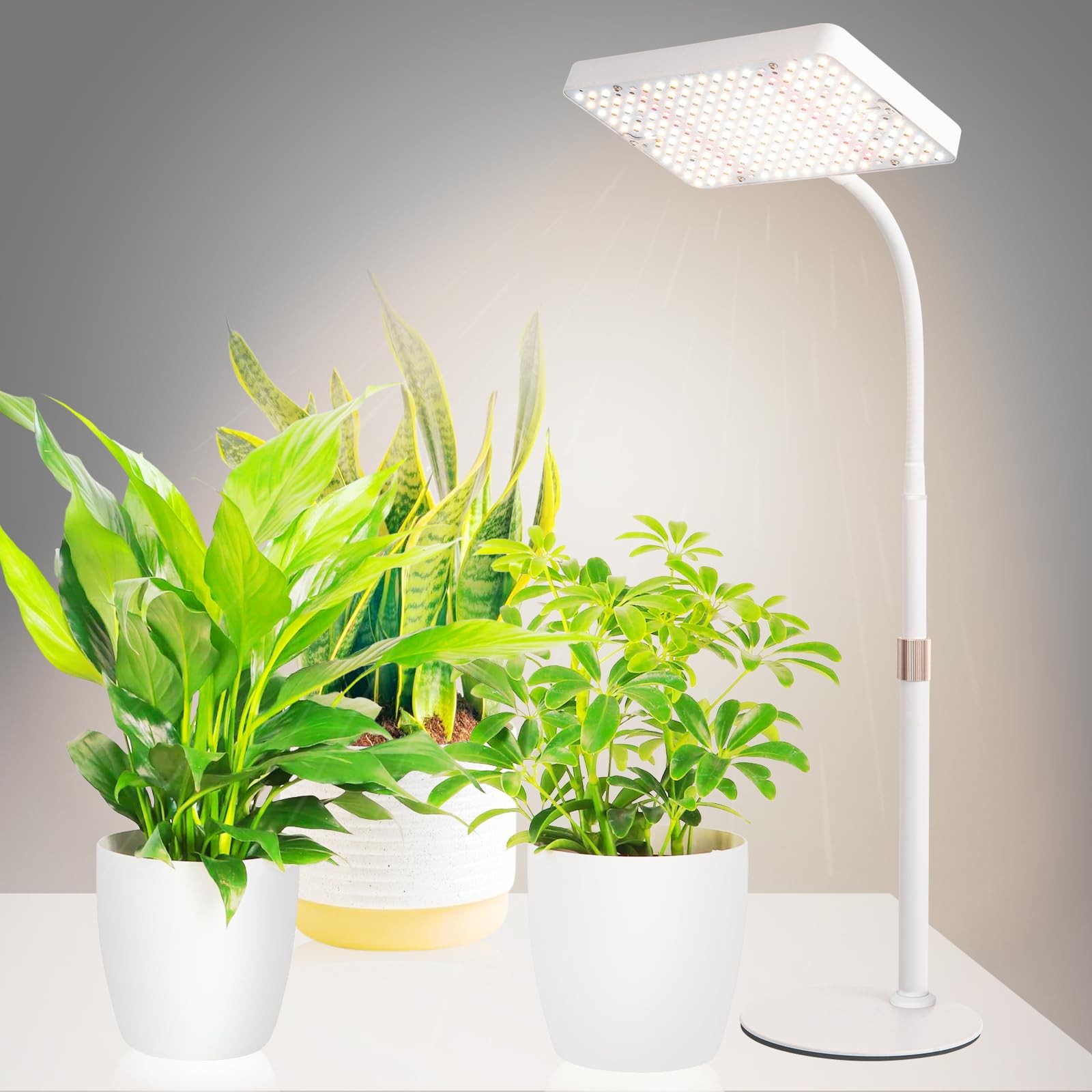 , Bright Tabletop Grow Lights For Seed Starting Bonsai, 25 Watt