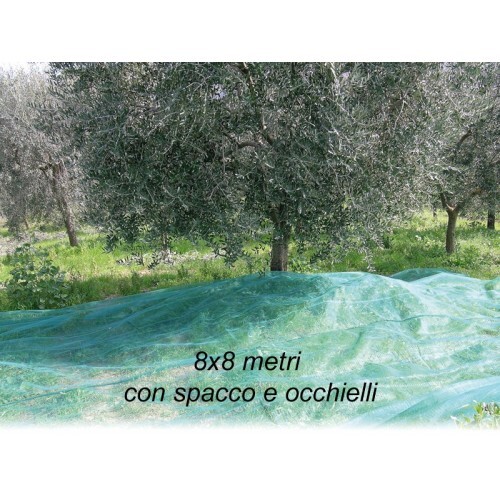 Rete per Raccolta Olive 8x8 mt con Spacco Occhielli Telo Antispina Polietilene - Foto 1 di 6