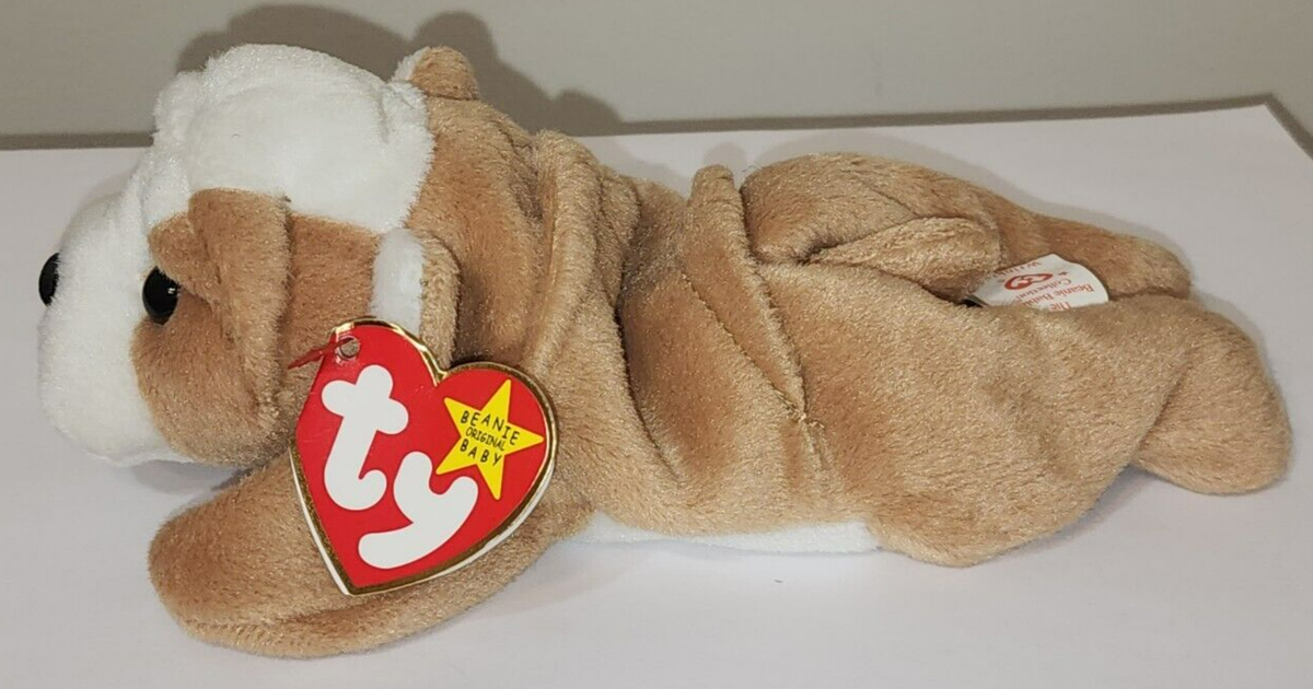 CT* Ty Beanie Baby - WRINKLES the Bull Dog 8